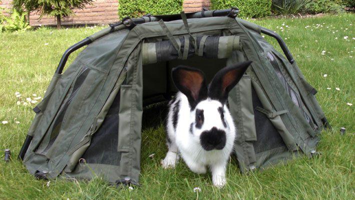 din natura - 3754233885982478900522123224737n.jpg